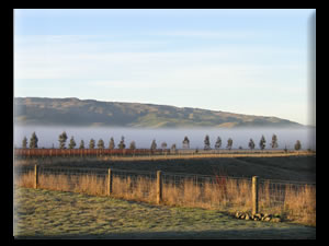 Northfield Wines Napa and Waipara