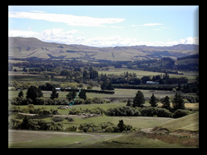 Northfield Wines Napa and Waipara