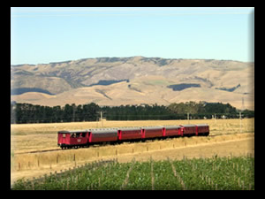 Northfield Wines Napa and Waipara